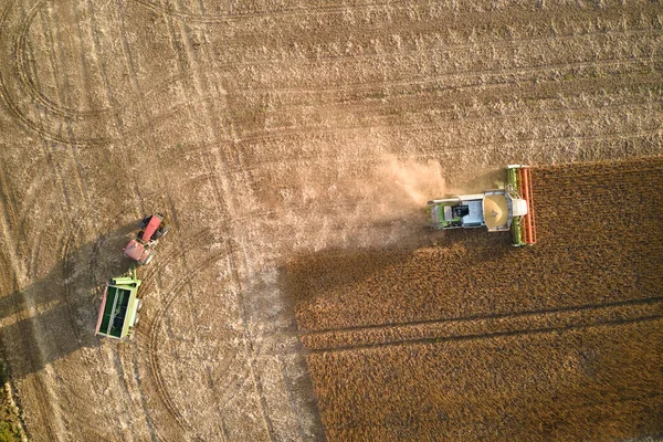 Buğday Tarlasında Hasat Mevsiminde Çalışan Hasat Kargo Karavanının Hava Görüntüsü — Stok fotoğraf