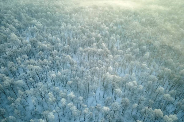 Luftaufnahme Des Schneebedeckten Weißen Waldes Mit Gefrorenen Bäumen Kalten Winter — Stockfoto