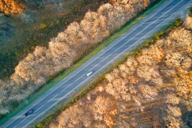 Günbatımında güz ormanı ağaçları arasında hızlı giden arabalarla şehirlerarası yol manzarası. Akşamları otoban trafiğinin insansız hava aracı görüntüsü.