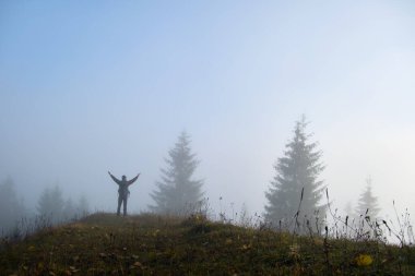 Yalnız yürüyüşçünün küçük bir figürü sisli sonbahar gününde vahşi orman patikasında eğleniyor..