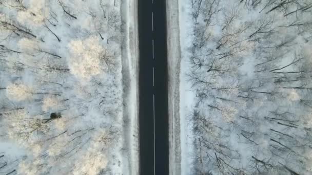 Soğuk Kış Günlerinde Karla Kaplı Ormanlar Siyah Asfalt Yol Manzarası — Stok video
