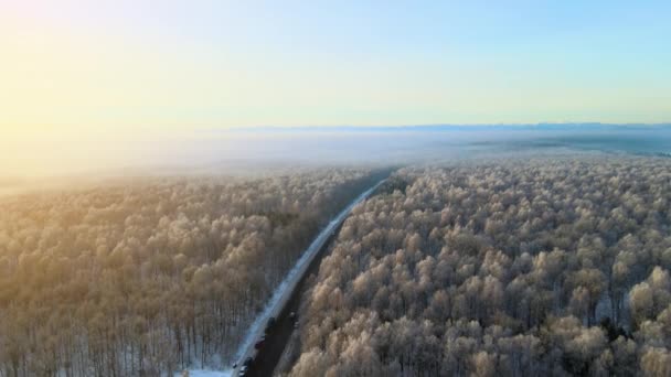 Luftaufnahme Der Winterlandschaft Mit Schneebedeckten Wäldern Und Schwarzer Asphaltstraße Kalten — Stockvideo
