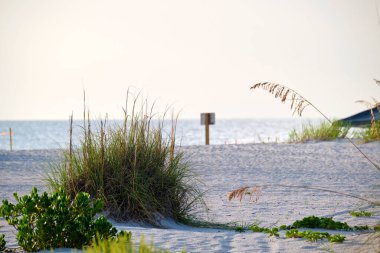 Seaside beach with small sand dunes and grassy vegetation on warm summer evening.