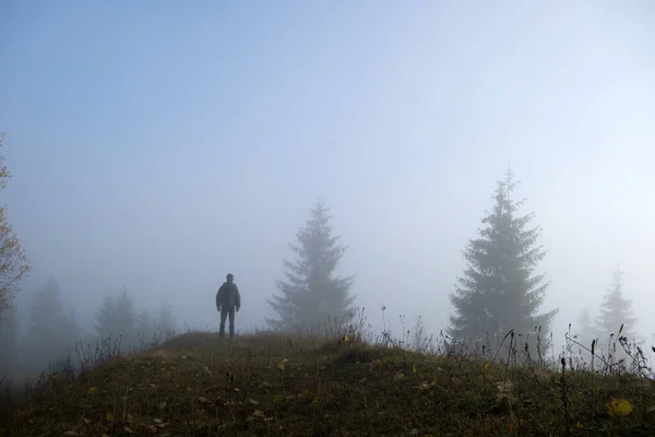 Маленька Фігура Самотнього Пішохода Насолоджується Своїм Часом Лісовій Стежці Туманному — стокове фото