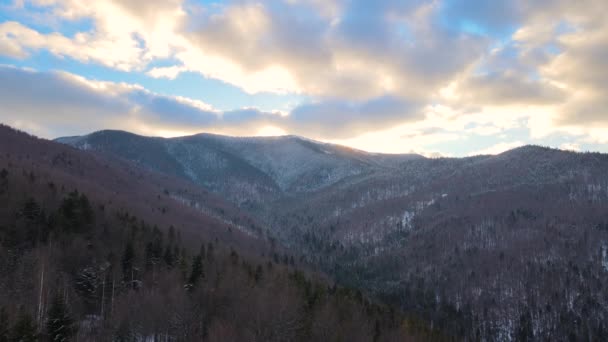 冬天的风景 落日时分 雪地覆盖着寒冷的山林 — 图库视频影像
