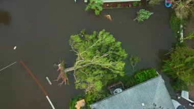 Ian Kasırgası Florida yerleşim bölgesindeki evi ve devrilmiş ağacı sular altında bıraktı. Doğal afet ve bunun sonuçları.