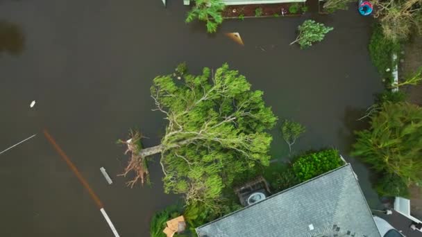ハリケーン イアンはフロリダの住宅地で家と倒木を浸水させた 自然災害とその影響 — ストック動画