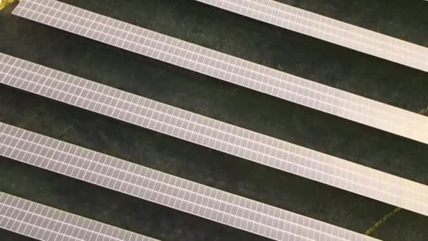 Luchtfoto Van Grote Duurzame Elektriciteitscentrale Met Rijen Zonnepanelen Voor Productie — Stockvideo