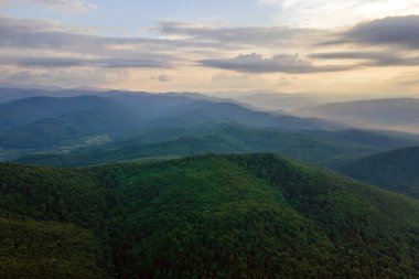 Dağ tepelerini kaplayan koyu ladin ağaçlı yeşil çam ormanlarının havadan görünüşü. Yukarıdan orman manzarası yok.