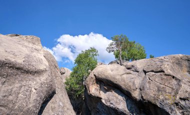 Huge rocky boulder formations high in mountains with growing trees on summer sunny day.