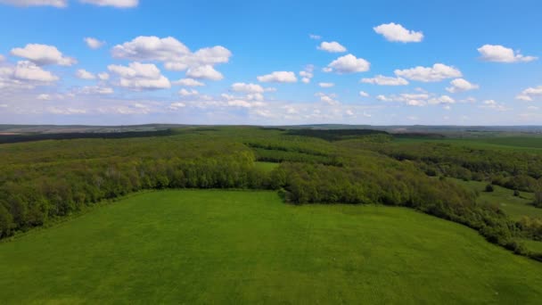 Vista Aérea Del Frondoso Bosque Verde Con Gran Área Desnuda — Vídeo de stock
