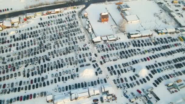 Aerial View Many Cars Parked Sale People Customers Walking Car — Stock Video