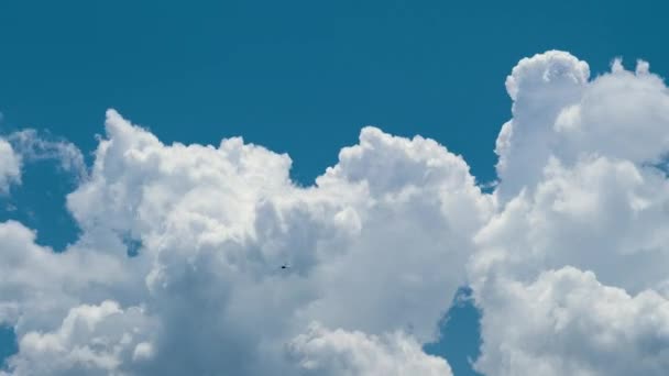 Zeitraffer Aus Weißen Geschwollenen Kumuluswolken Die Sich Sommerblauen Himmel Bilden — Stockvideo