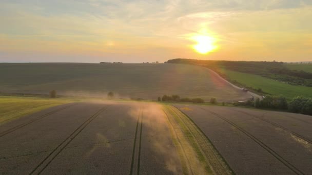 大きな熟したコムギ畑で収穫期に働く収穫者の作業を組み合わせた空中ビュー 農業の概念 — ストック動画