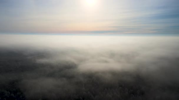 Widok Powietrza Mglisty Poranek Nad Pokrytym Śniegiem Białym Lasem Zamarzniętymi — Wideo stockowe