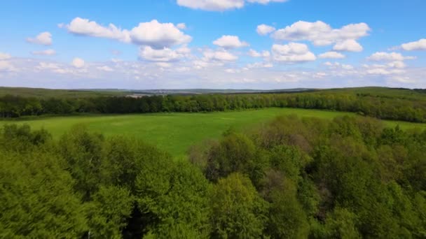 Flygfoto Grön Frodig Skog Med Stor Bar Areal Avverkade Träd — Stockvideo
