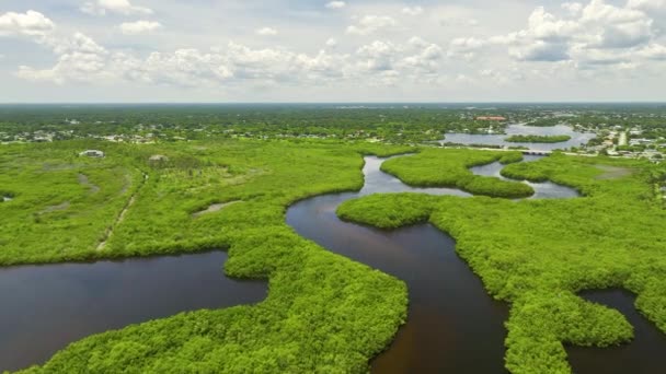 Letecký Pohled Venkovské Soukromé Domy Odlehlých Předměstí Nachází Blízkosti Floridské — Stock video