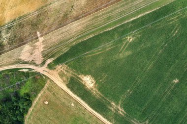 Yeşil ve sarı ekili tarlaların hava manzarası. Parlak yaz gününde ekinlerin büyüdüğü tarlalar..