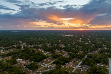 Florida 'daki yeşil palmiye ağaçları arasındaki banliyö özel evlerinin hava manzarası günbatımında sakin kırsal bölge.