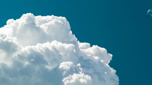 夏日蓝天雷雨前形成的白色蓬松积雨云的时间流逝 云彩天气的移动和变化 — 图库视频影像