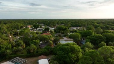 Florida 'nın sakin kırsal kesimindeki yeşil palmiye ağaçları arasındaki banliyö özel evlerinin hava manzarası.