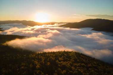 Sonbahar gündoğumunda sisli, karanlık dağ ormanlarının çam ağaçlarının olduğu muhteşem manzaranın havadan görüntüsü. Şafak vakti ışıldayan ışıklarıyla güzel vahşi ormanlık.