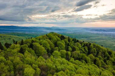 Akşamları yeşil çam ve yemyeşil ormanlarla kaplı karanlık dağ tepelerinin havadan görünüşü.