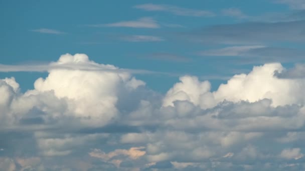 時間経過映像の速い移動白いパフィー積雲上の青い澄んだ空 — ストック動画