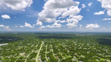 Florida 'nın sakin kırsal kesimindeki yeşil palmiye ağaçları arasındaki banliyö özel evlerinin hava manzarası.