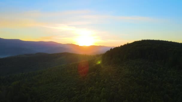 Luftaufnahme Eines Hellen Nebligen Morgens Über Dunklen Hügeln Mit Bergwaldbäumen — Stockvideo