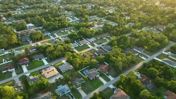 夜のフロリダ静かな住宅街の緑のヤシの木の間の民家と郊外の風景の空中ビュー — ストック動画