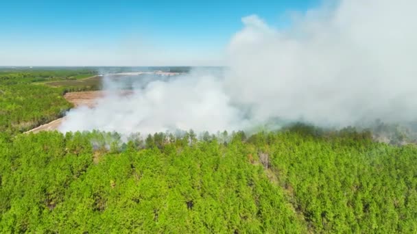 Letecký Pohled Bílý Kouř Lesních Požárů Stoupající Znečišťující Atmosféru Koncept — Stock video