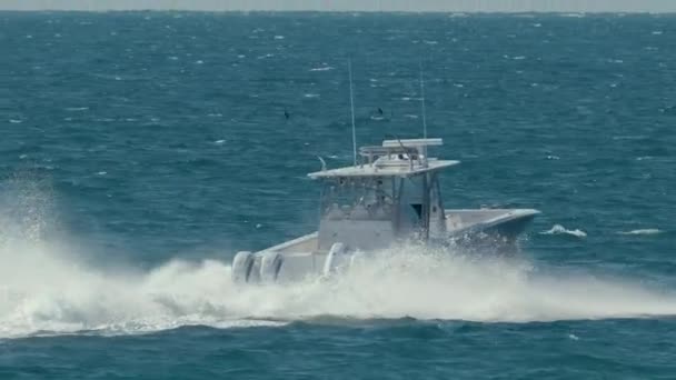 快艇在波涛汹涌的海面上快速游动 高速在海上行驶的汽艇 — 图库视频影像