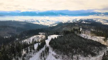 Soğuk dağlarda karla kaplı ormanların filizlendiği kış manzarası.