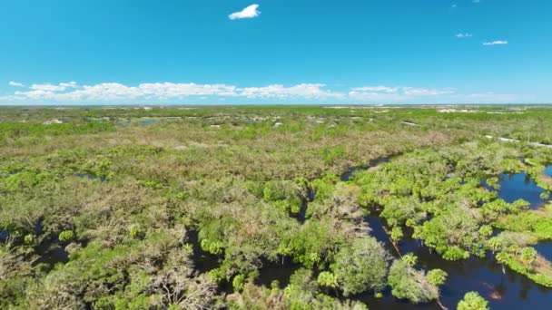 Umgeben Vom Hurrikan Ian Überschwemmen Regenfälle Bäume Floridas Reservationsgebiet Folgen — Stockvideo