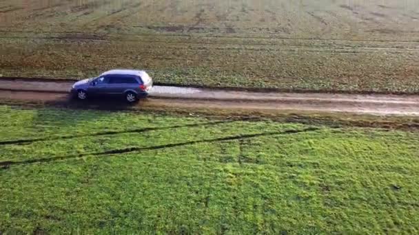 Автомобіль Рухається Ґрунтовій Дорозі Сільській Місцевості Зеленого Поля — стокове відео