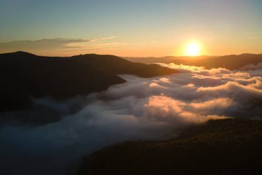 Parlak günbatımında karanlık çam ağaçları üzerinde sisli bir akşamın havadan görüntüsü. Şafakta vahşi dağ ormanlarının inanılmaz manzarası.