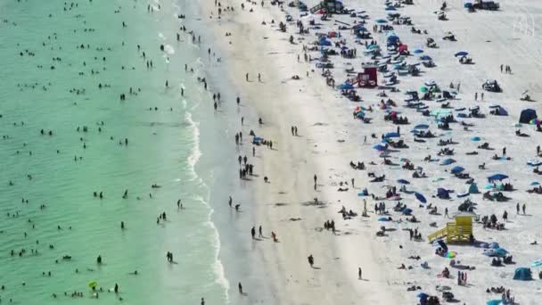 소타에 시에스타 해변을 공중에서 것이다 사람들은 우거진 물에서 수영하고 플로리다 — 비디오