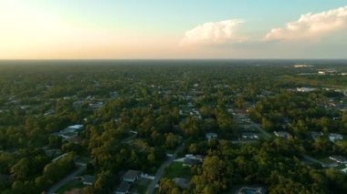 Florida 'nın sakin kırsal kesimindeki yeşil palmiye ağaçları arasındaki banliyö özel evlerinin hava manzarası.