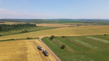 Tarımsal buğday tarlaları arasındaki toprak yolda kargo kamyonlarının hava görüntüsü. Hasat mevsiminde hasatçıların topladığı tahıl naklinden sonra..
