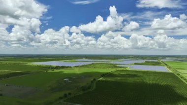 Temiz elektrik enerjisi üretmek için fotovoltaik panelleri olan tarımsal tarım arazileri arasında sürdürülebilir elektrik santralinin havadan görüşü. Sıfır emisyonlu yenilenebilir elektrik kavramı.