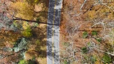 Top view of empty scenic forest road in Great Smoky Mountains winding between yellow woods in fall season. Traveling thru Blue Ridge Parkway in North Carolina Appalachians.
