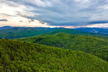 Akşamları yeşil çam ve yemyeşil ormanlarla kaplı karanlık dağ tepelerinin havadan görünüşü.