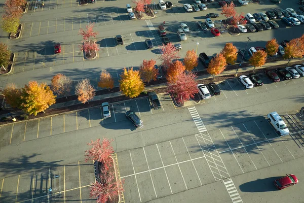 Aerial view of many colorful cars parked on parking lot with lines and markings for parking places and directions. Place for vehicles in front of a strip mall plaza.