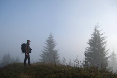 Yalnız yürüyüşçünün küçük bir figürü sisli sonbahar gününde vahşi orman patikasında eğleniyor..