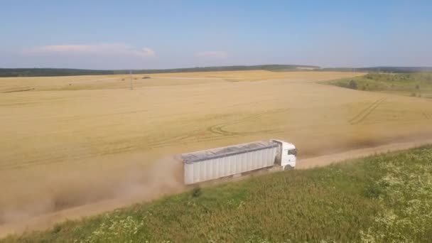 Luchtfoto Van Vrachtauto Rijden Onverharde Weg Tussen Landbouwtarwe Velden Maken — Stockvideo