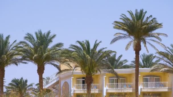 热带海滩上 在蓝天和酒店度假大楼的映衬下 绿椰树在风中摇曳 暑假的概念 — 图库视频影像