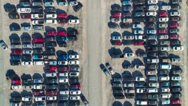 在拍卖行大停车场使用损坏的汽车 准备转售服务 出售二手车辆以重建或收回业权 — 图库视频影像