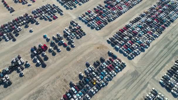 Widok Lotu Ptaka Firmy Aukcyjnej Duży Parking Zaparkowanymi Samochodami Gotowymi — Wideo stockowe