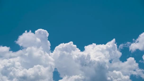 Fehér Gömbölyű Felhők Időrendje Formálódik Nyári Kék Égen Mozgó Változó — Stock videók